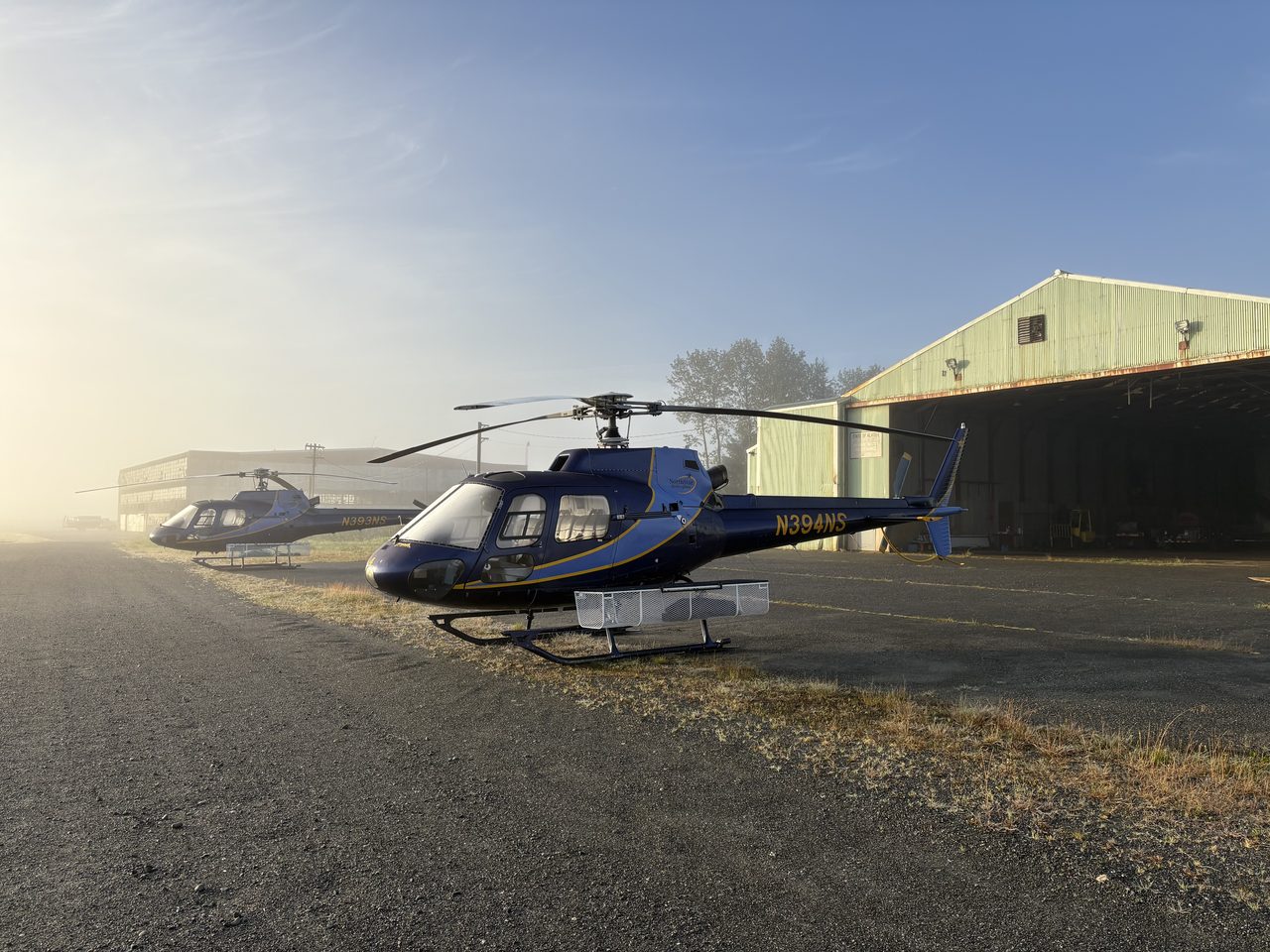 A Yakutat Expeditions helicopter parked in a grass meadow at the edge of a spruce forest.